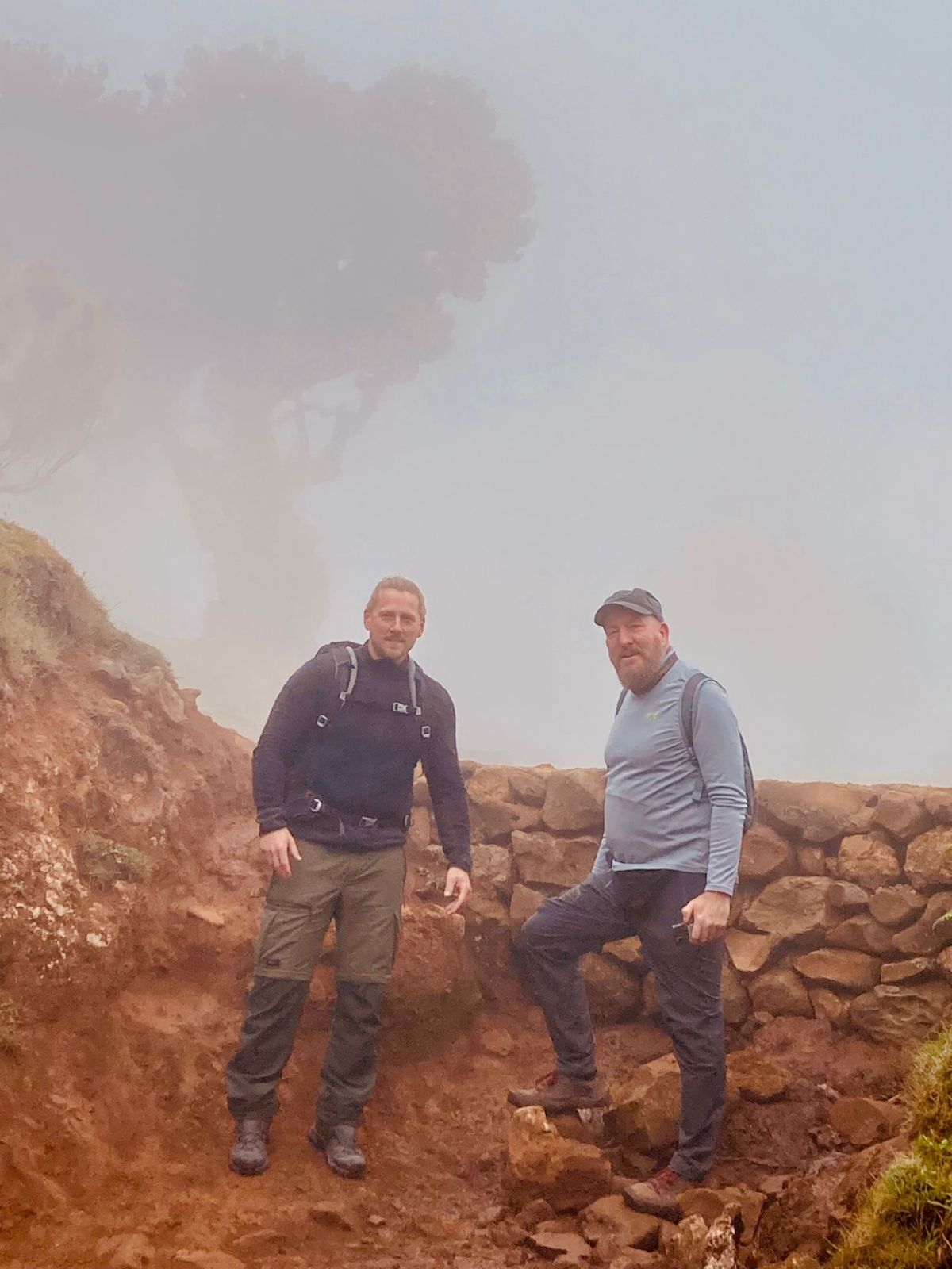 Two of the brothers beside a stone wall in the mist, a twisted tree behind them