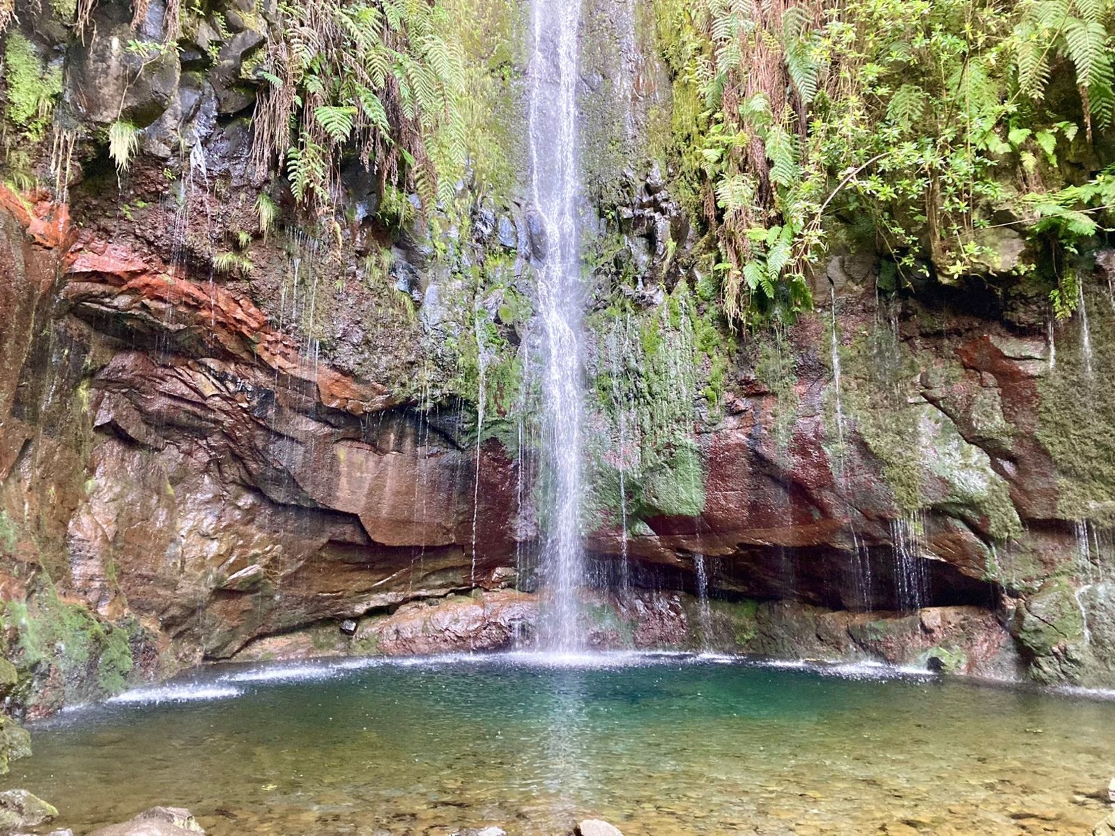 A waterfall dropping into an emerald pool ringed by ferns and red rock